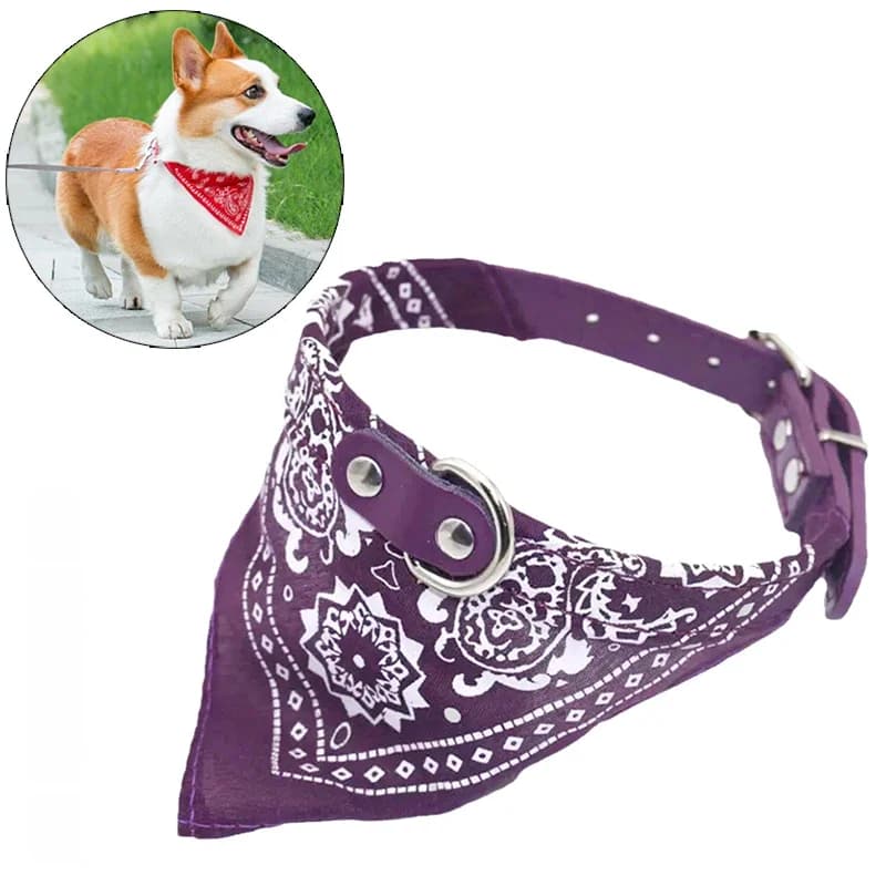 Collier pour chien et chat en PU avec écharpe pour petits et moyens chiens Chihuahua Corgi chiot colliers réglables fournitures pour animaux de