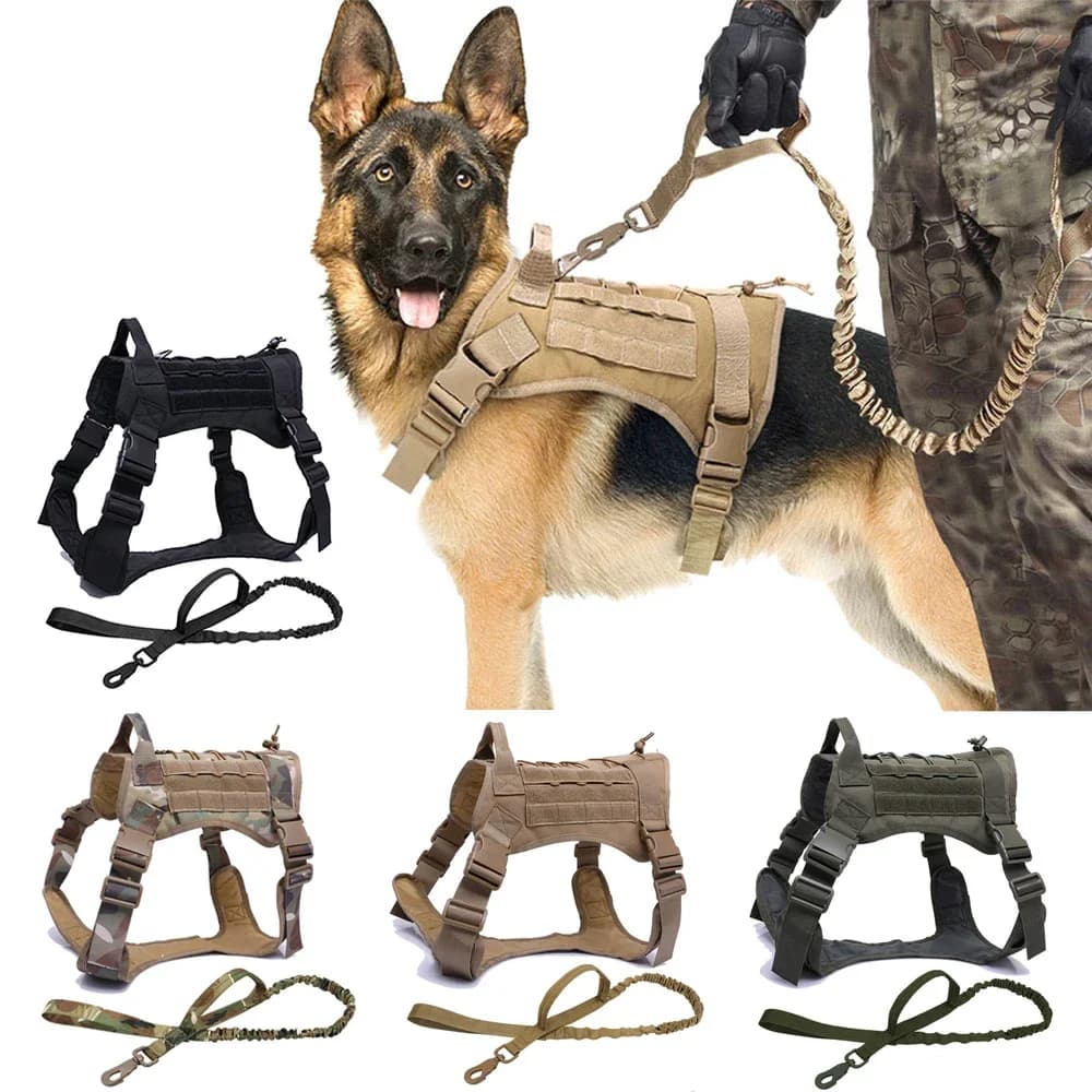 Harnais tactiques pour chiens, gilet d'entraînement pour animaux de compagnie, harnais militaire pour chiens, collier de laisse pour petits, moyens