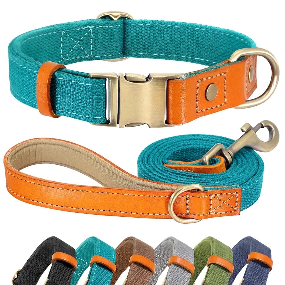 Ensemble de laisse de collier de chiot de chien personnalisé en Nylon, en cuir véritable, plaque signalétique pour animaux de compagnie,