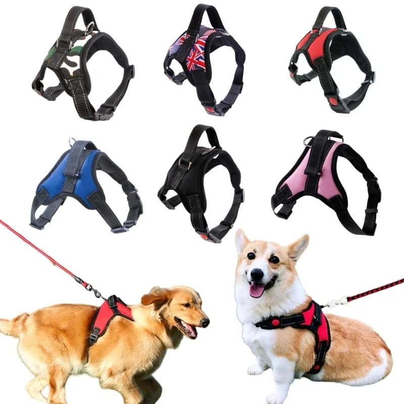 SFP Bathing Glafor Dogs, Small, Medium and Large Pet Shop, Everything for Dogs, Golden Retriever, Chihuahua Accessrespiration