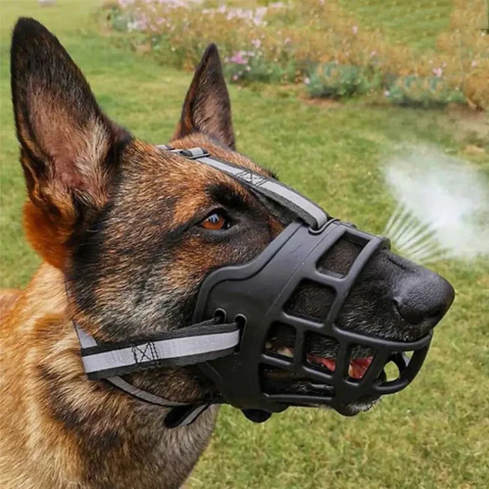 Muselière en silicone souple pour animaux de compagnie, masque anti-mordant pour chien, panier respirant, masque de bain durable, fournitures pour