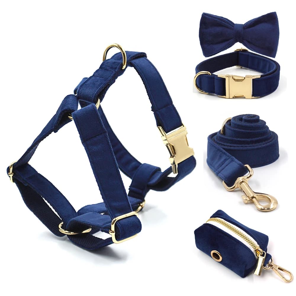 Harnais personnalisé en velours bleu profond pour chien, ensemble de laisse de luxe de styliste, collier pour animaux de compagnie avec attache de