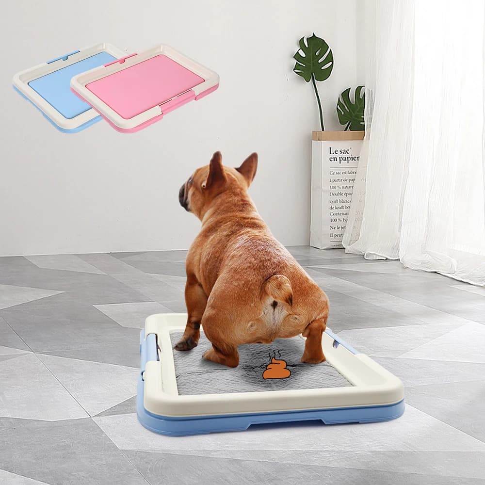Portable chien formation toilette intérieur chiens pot toilette pour animaux de compagnie pour petits chiens chats chat litière boîte chiot Pad