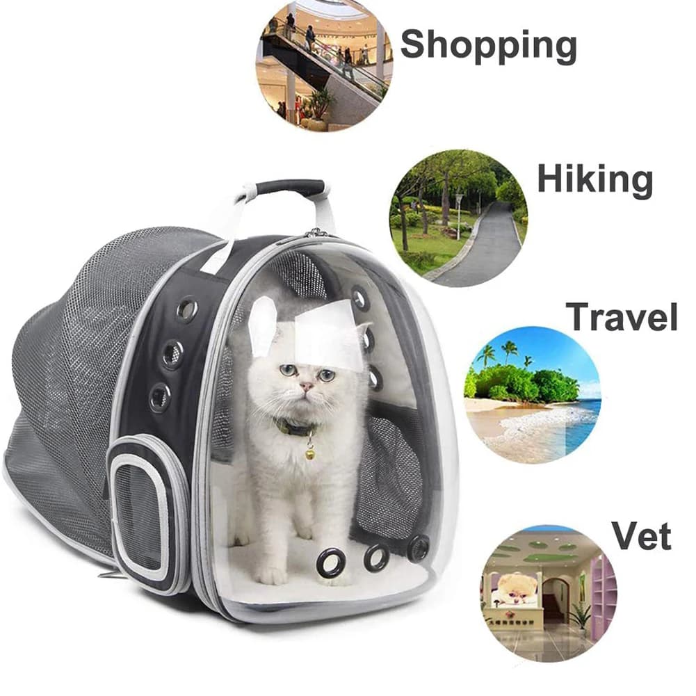 Sac à Dos Portable Extensible pour Chat et Chiot, Accessoire de Voyage en Plein Air, Convoyeur