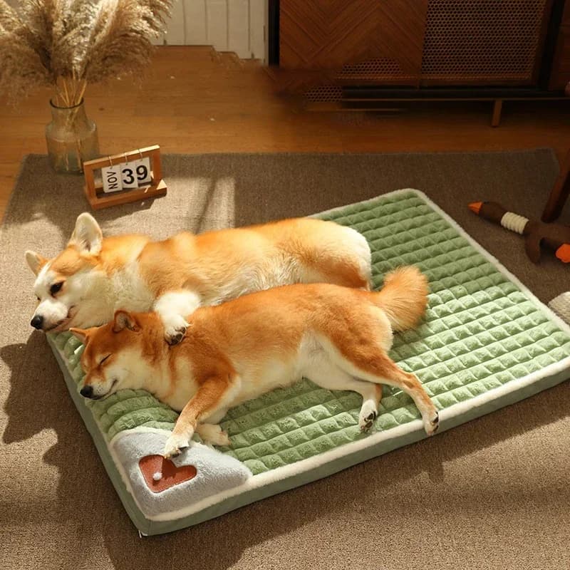 Polymères de lit doux pour animaux de compagnie, maison pour chien amovible, fournitures confortables pour animaux de compagnie, protection de la