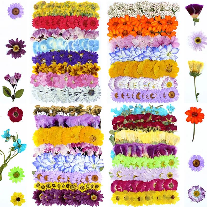 Kit de Matériel pour Pressage de Fleurs Séchées Naturelles, Marque-pages DIY en Fleurs Pressées, Fleurs Pressées en Résine Faite Main, Fleurs