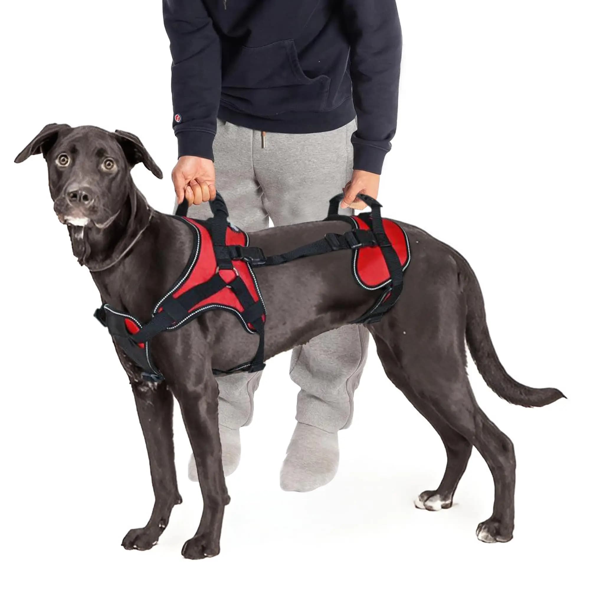 Harnais pour chien, fabricant en gros, pour jambes arrière, sangles de levage pour marche et voyage, grand harnais de levage pour chien