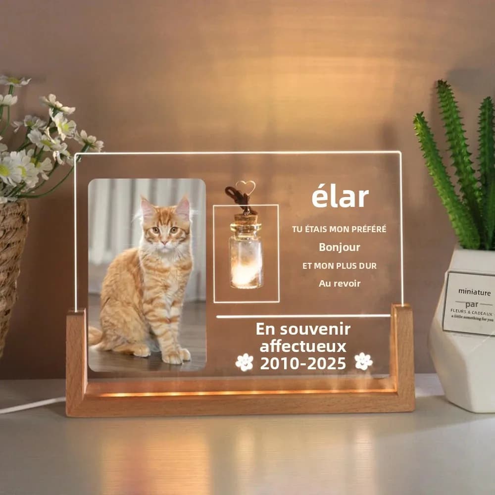 Cadre commémoratif personnalisé pour chat avec souvenir en fourrure d'animal de compagnie, cadeaux de sympathie pour perte d'animal de compagnie,