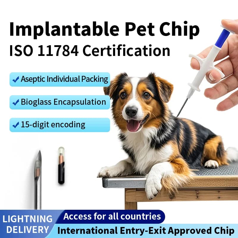 READELL 100 pièces étiquette en verre avec implanteur ISO11784/785 FDX-B utilisation de tortue certificat ICAR puce de chien puce d'animal de