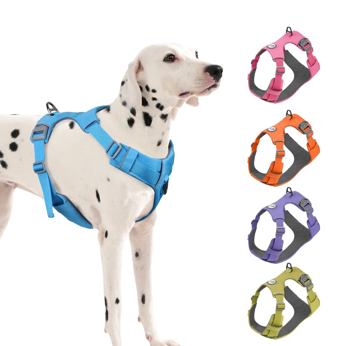 Harnais de sécurité sans traction pour chien de compagnie, sécurité poitrine, fonction SFP, anti-télmarche, solide et durable, petit et moyen