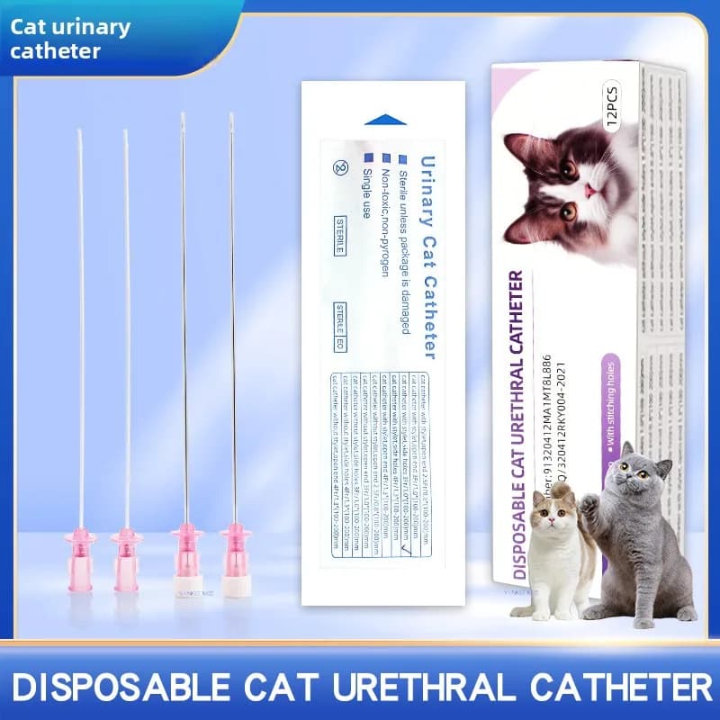 Cathéter pour chat avec stylet, cathéter pour animaux de compagnie, cathéter de drainage urinaire vétérinaire en pierre, cathéter d'urine pour