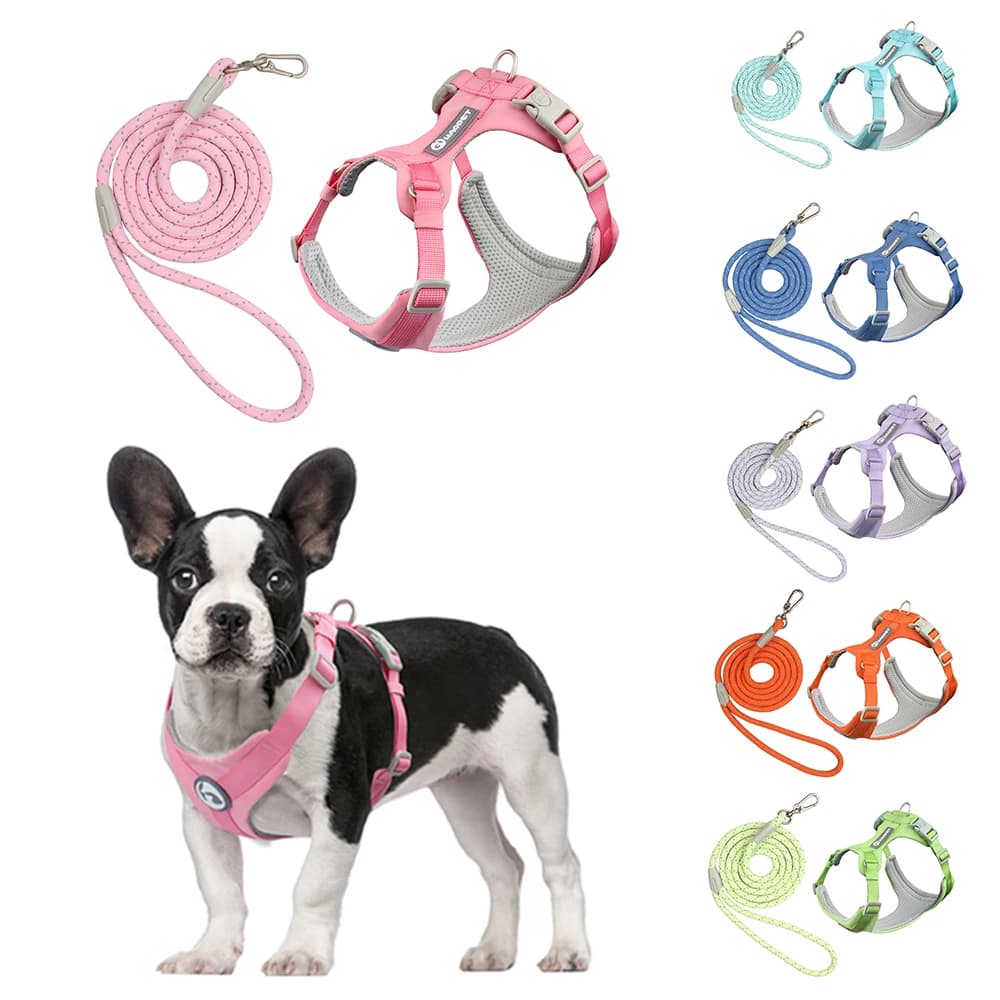 HarNISSAN-Ensemble de ULd'entraînement en plein air pour chiens et chats, fournitures pour animaux de compagnie, marche, laisse, glaçage, petits,