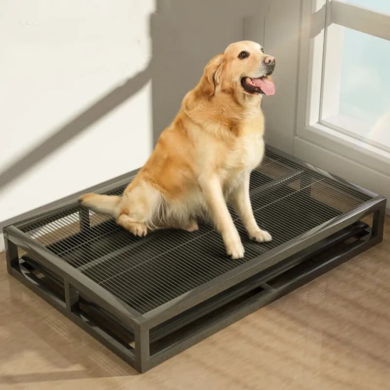 Toilettes d'intérieur en acier inoxydable pour chiens, formation de chiot, boîtes à litière de sable, accessoires pour animaux de compagnie,