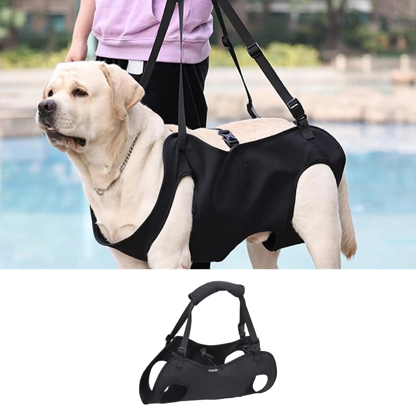Harnais de transport pour chien, harnais de soutien pour animaux de compagnie, gilet de rééducation pour chiot, sangle réglable avec poignée pour