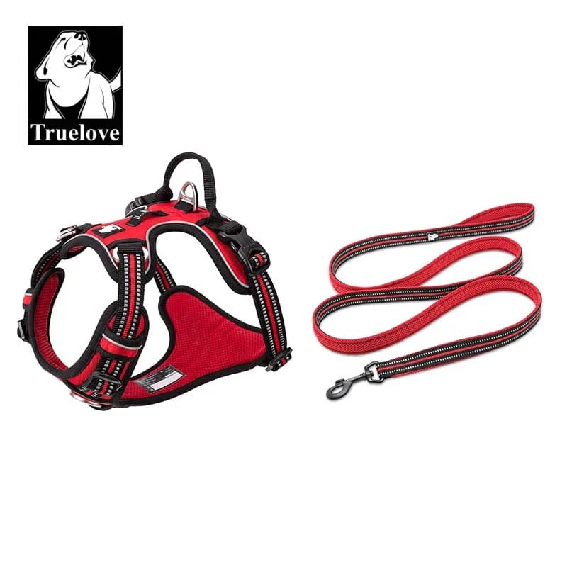 Truelove – harnais pour animaux de compagnie + ensemble de laisse pour animaux de compagnie, corde 110cm/200cm, harnais réfléchissant tout-en-un