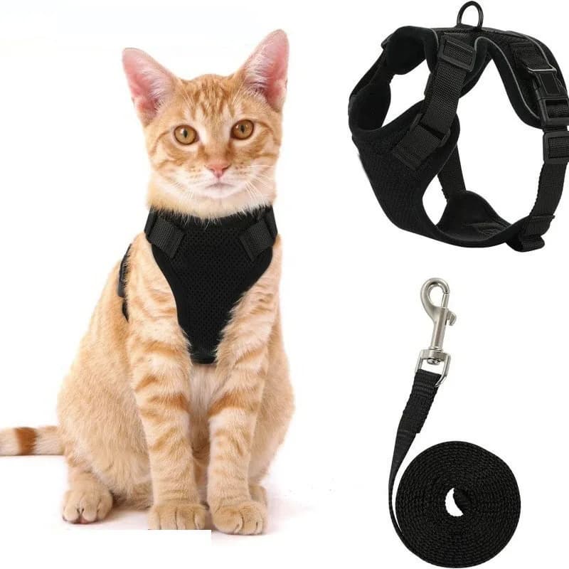 Harnais et laisse anti-évasion pour chat, contrôle facile - Harnais gilet doux et réglable pour la promenade des chats MXQQY01