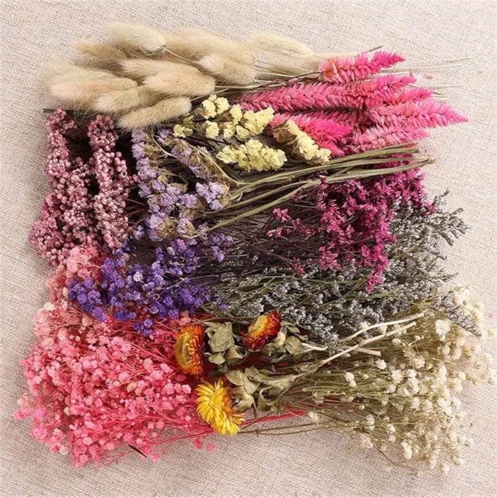 Boîte de matériaux floraux séchés en vrac pour l'artisanat, bouquet de lavande et d'herbe de la pampa naturelle, arrangement floral DIY avec corde