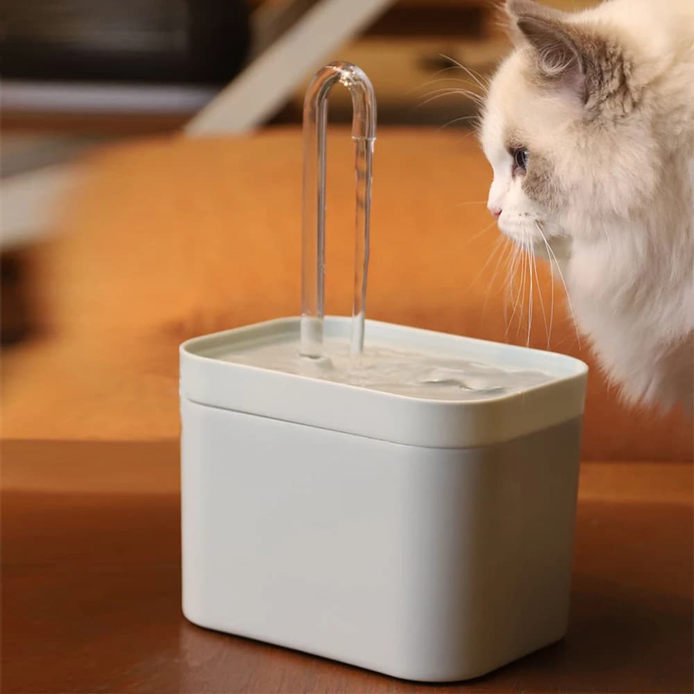 Filtre de fontaine d'eau Ultra silencieux pour chat, distributeur d'eau automatique intelligent pour chien et pompe de prévention des explosions,