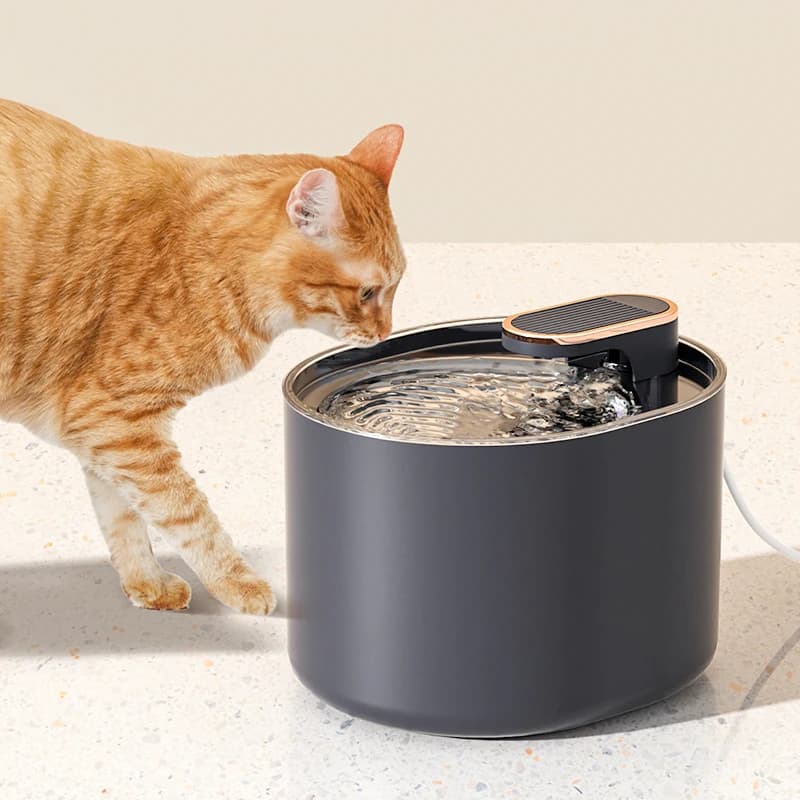 Fontaine d'eau pour chat 3L avec capteur de mouvement, distributeur automatique d'eau pour chien avec lumière LED, fontaine d'eau potable Ultra
