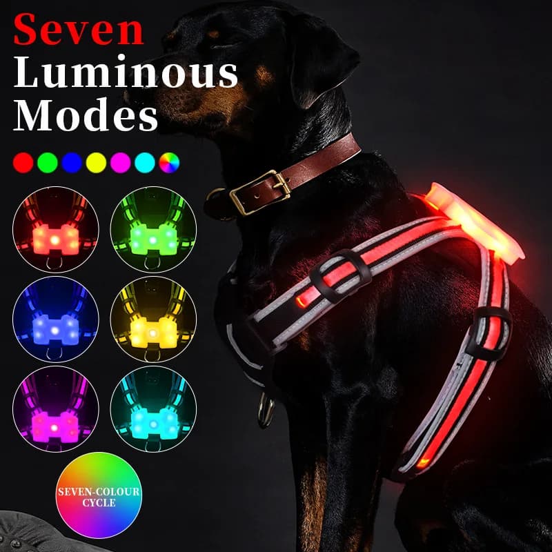 LED harnais pour chien animal de compagnie Rechargeable réglable clignotant collier étanche nuit Anti-perte chien lumière harnais collier de chien