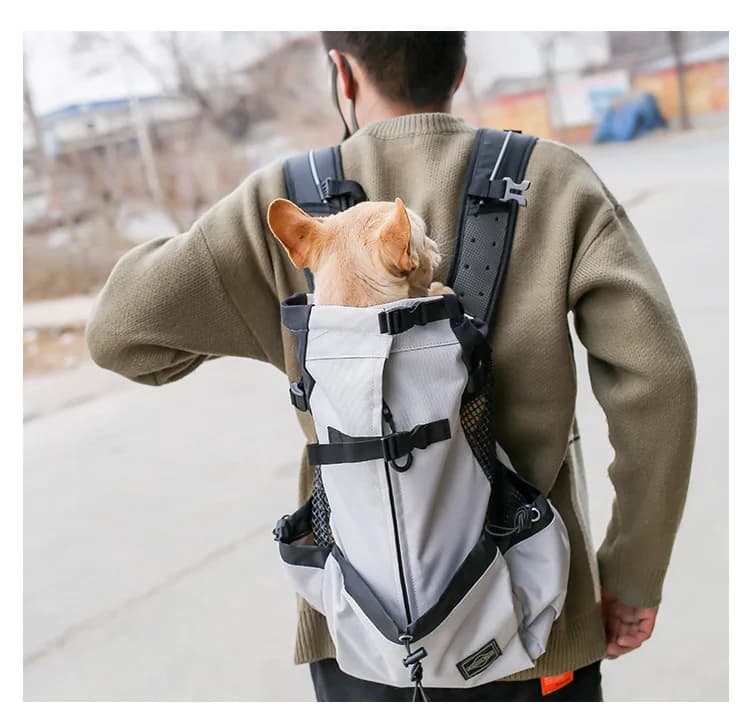 Randonnée animal de compagnie chien transporteur voyage sac à dos Ventilation extérieure respirant vélo moto Sport de plein air maille sac