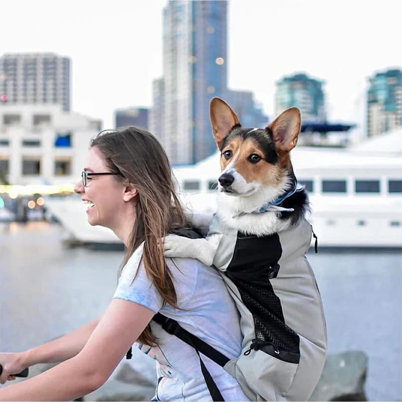 Sac à dos en nylon respirant pour animaux de compagnie, sac à dos Electrolux pour petits et moyens chiens, sac de cyclisme pour le bain, fournitures