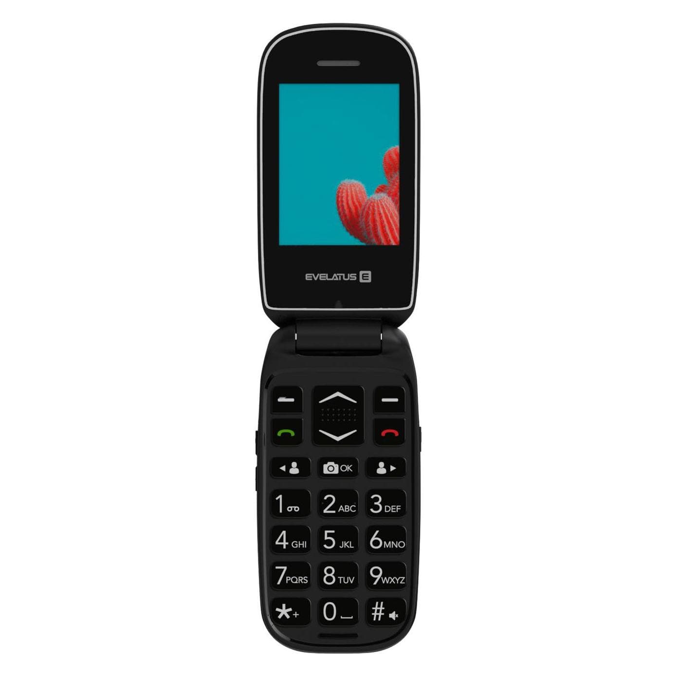 Evelatus WAVE 2020 DS (EW02BK) (2.40", 0.30 Mpx), Téléphone portable à touches, Noir